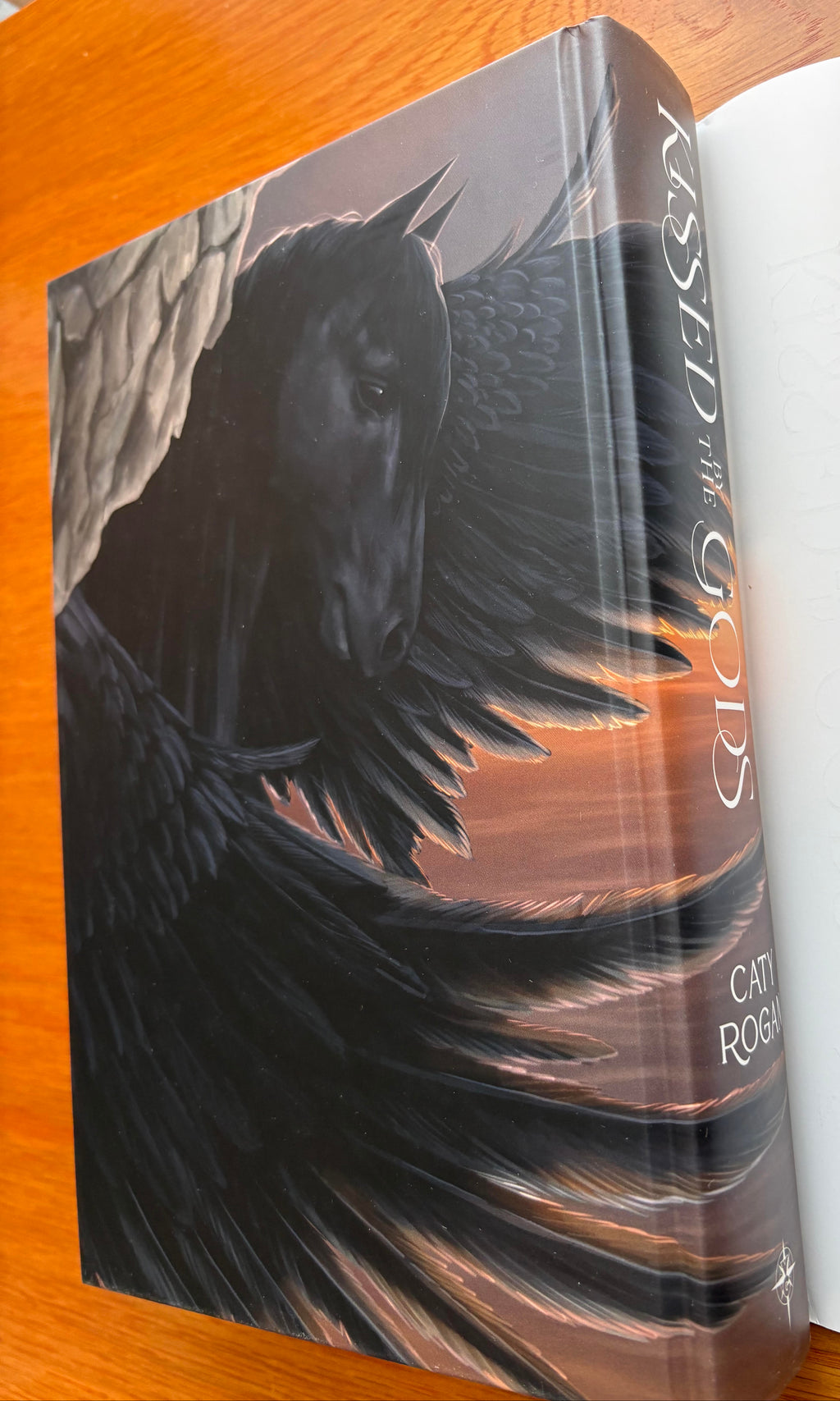 Kissed by the Gods - Hardcover